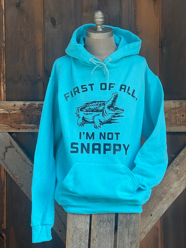 I'm not SNAPPY Hoodie- Turquoise
